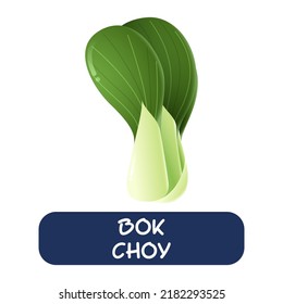 cartoon bok choy vegetables vector isolated on white background