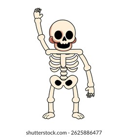 Cartoon Bone Skeleton Digital Vectors Illustration