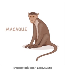 A cartoon bonnet macaque, isolated on a white background. Animal alphabet.