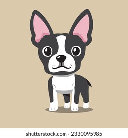 Cartoon boston terrier dog para el diseño.