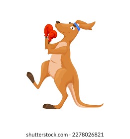 Caricatura de boxeo de canguro. Deportista de boxeador australiano de vector aislado. Personaje de wallaroo sonriente usa guantes rojos y banda en la cabeza. Mascota del deporte de historietas para el club de lucha