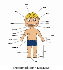 Cartoon boy - parts of body (vector)