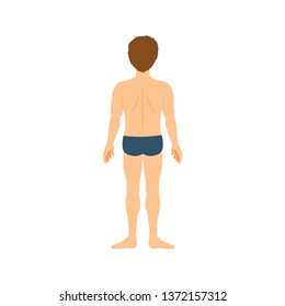 Cartoon boy in underwear, back, body part anatomy template. Isolated vector illustration.