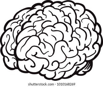 Cartoon brain. Cute brain character vector illustration