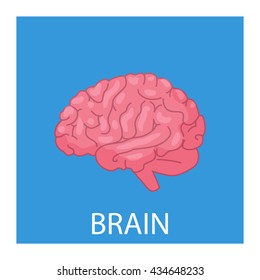 cartoon brain illustration