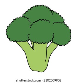 Cartoon branch of broccoli. Colorful vegetable. Vector illustration isolated on white background