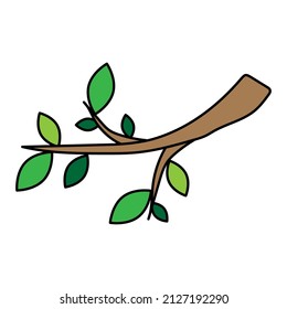 1,933 Understory trees Images, Stock Photos & Vectors | Shutterstock