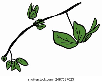 cartoon branches and leaves hand drawing on white background design for fabric print or vintage wallpaper or retro backdrop, hand drawn