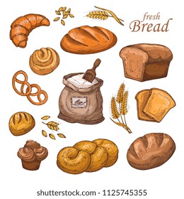 Pan de caricatura, producto fresco de panadería, harina, orejas de trigo. Conjunto vectorial dibujado a mano aislado en fondo blanco. Panadería de pan, harina e ilustración de pan