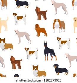 Cartoon Breed of Dogs Seamless Pattern Background on a White Include of Doberman, Bulldog, Labrador or Retriever, Poodle and Corgi. Vector illustration