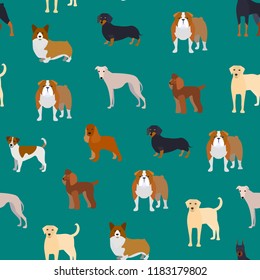 Cartoon Breed of Dogs Seamless Pattern Background Include of Doberman, Bulldog, Labrador or Retriever, Poodle and Corgi. Vector illustration