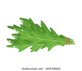 Cartoon bright arugula rucola leaves isolated on white. Vector illustration of fresh farm organic rocket salad used for magazine, book, poster, card, menu cover, web pages.