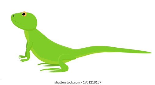 Cartoon Lizard Images, Stock Photos & Vectors | Shutterstock