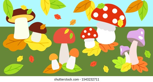 Cartoon bright mushrooms: fly agaric, white mushroom, aspen, sawdust grow in the autumn forest on the green grass among the autumn leaves. Children's simple illustration