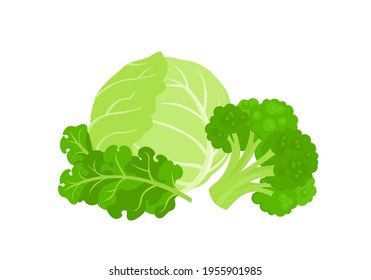 Cartoon broccoli, cabbage and kale isolated on white. Heap of green fresh vegetables vector simple flat illustration. Food icon.