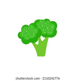 cartoon broccoli isolated on white background, vector illustration of fresh vegetable in flat style