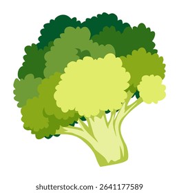 cartoon broccoli vector illustration, fresh vegetable clipart, cute healthy food graphic