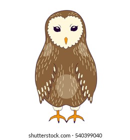 Cartoon brown barn owl. Colored vector illustration.