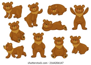 Cartoon brown bear. Funny animal in different poses, sitting lying and standing. Happy forest character, cute big comic grizzly collection, danger wild mammal, recent vector isolated set