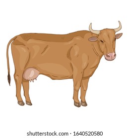 Cartoon Brown Cow. Vector Comics Style Illustration. Side View.