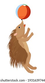 Cartoon brown joyful hedgehog playing with colorful ball isolated on white. Vector illustration.