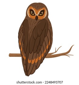 Cartoon brown owl sitting on branch. Forest bird, feathered wildlife animal, wise forest owl flat vector illustration on white background