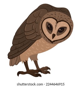 Cartoon brown owl. Woods wildlife feathered owl, forest wild predator bird flat vector illustration on white background