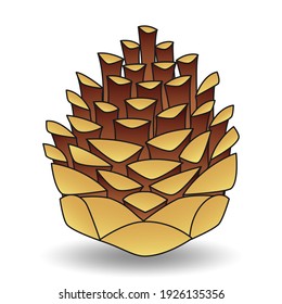 Cartoon brown pine cone isolated on white background close-up. Hand drawn lump. Design element for your creativity.