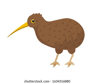 Cartoon brown small exotic kiwi bird with long beak isolated on white backdrop. Quirky flightless feathered character. Wildness and wildlife. Nature and rare animals. Vector flat illustration