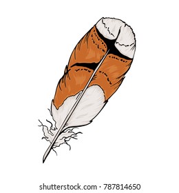 Cartoon brown and white feather isolated on white background. Hand drawn vector illustration.