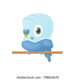 Cartoon budgie vector isolated illustration