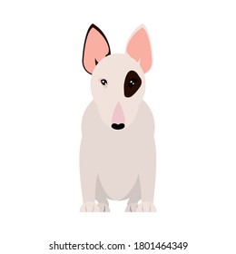 cartoon bull terrier dog icon over white background, flat style, vector illustration