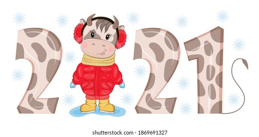 Cartoon bull vector as 2021 Christmas, New Year invitation. Cute baby cow is wearing red coat. yellow boots. Poster, sticker, postcard, t-shirt illustration. Xmas lettering is shown.
