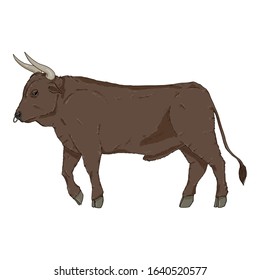 Cartoon Bull. Vector Color Illustration. Side View.