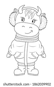 Cartoon bull vector coloring as 2021 Christmas, New Year invitation. Cute baby cow is wearing coat,  boots. Poster, sticker, postcard, t-shirt illustration. Xmas lettering is shown.
