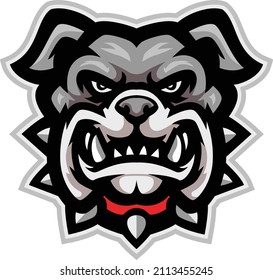 Cartoon bulldog head on white background