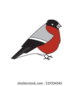 Cartoon bullfinch isolated on white.