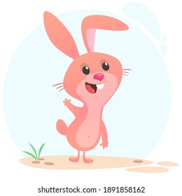 Cartoon Bunny Rabbit Character. Vector illustration. Isolated