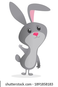 Cartoon Bunny Rabbit Character. Vector illustration. Isolated