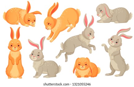 Cartoon bunny. Rabbits pets, easter bunnies and plush little spring rabbit pet. Easter mascot, fluffy hare character. Isolated vector illustration icons set