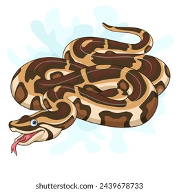 Cartoon burmese python on white background