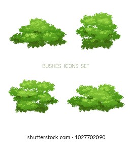 Cartoon bush illustration. Summer or spring seasonal image. Nature element for landscape design. Eco style set.