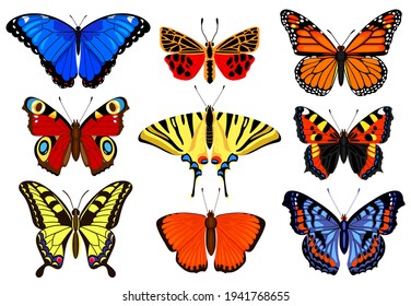 Cartoon butterflies. Flying colorful insects, spring butterfly moth insect, summer garden flying butterflies. Butterfly insects vector illustration set