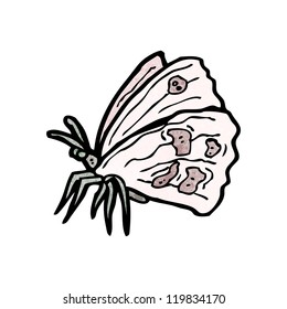 cartoon butterfly