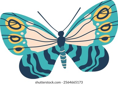 Cartoon butterfly specie vector illustration