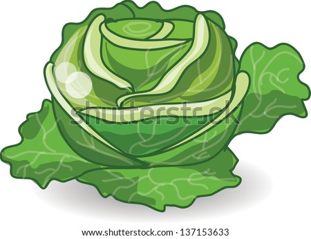 Cartoon Cabbage Stock Vector (Royalty Free) 137153633 - Shutterstock