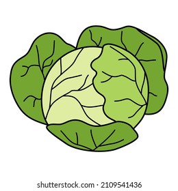 Cartoon cabbage head. Colorful vegetable. Vector illustration isolated on white background