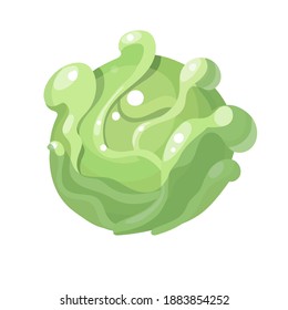 Cartoon cabbage isolated on white background. Vector illustration.