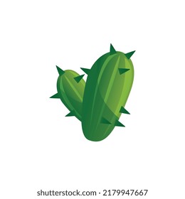 Cartoon cacti with sharp spikes, flat vector illustration isolated on white background. Succulent cactus plant, desert landscape concept. Botanical element of drought environment.