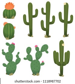 Cartoon Cactus Collection